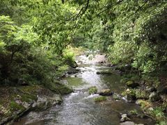 -石台牯牛降景区