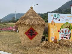 -风云岭森林公园