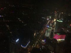 -上海柏悦酒店