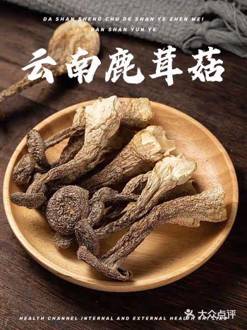 菌中贵妃鹿茸菇功效禁忌｜营养丰富比肉还好吃