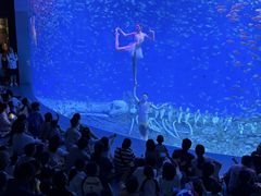 -合肥海洋世界