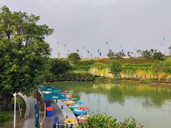 -江门古劳水乡旅游区