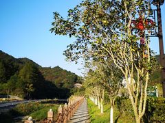 -韶关经律论国际酒店温泉