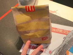 -麦当劳(武汉火车站店)