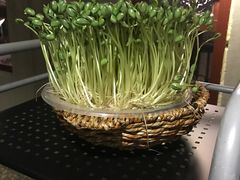 -老表记广西宵夜螺蛳鸭脚煲(西大店)
