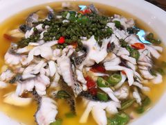 黑鱼花-三猫黑鱼花(南大店)