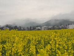 -思溪延村
