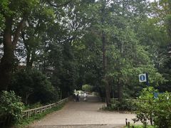 -井之头恩赐公园