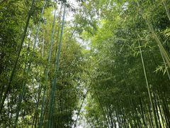 -绍兴东湖风景区