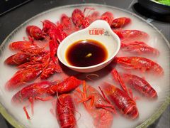 -红盔甲·小龙虾(人民广场店)