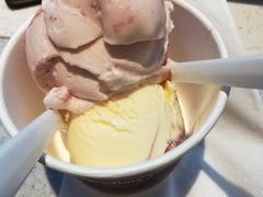 -哈根达斯(皇城恒隆广场店)