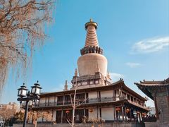 -张掖大佛寺景区