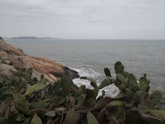 -东极岛景区