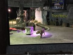 -清迈夜间动物园