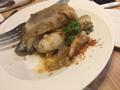 蛏子-Isla Sugbu Seafood City