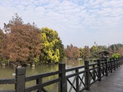 -海珠湖公园