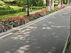 -棒棰岛宾馆景区