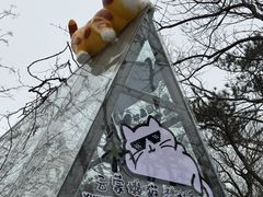 -沂蒙山旅游区云蒙景区(蒙山国家森林公园)