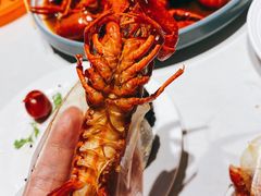 -杨氏青龙虾·羊蝎子(托乐嘉店)