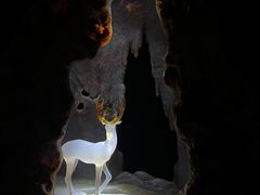 -深圳珠宝博物馆