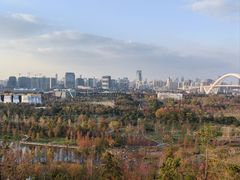 -莲花国际广场