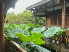 -莫催咖啡