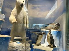 -国家自然博物馆