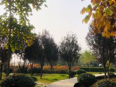 -西安浐灞国家湿地公园