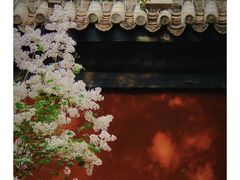 -雍和宫