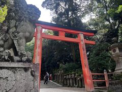 -奈良公园