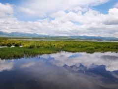 -郭莽湿地