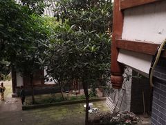 -磁器口古镇