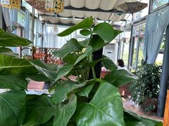-慢丽江·云南野生菌土鸡锅(西山店)