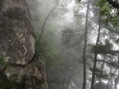 -陕西省红河谷森林公园