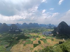 -会仙湿地