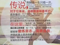 -金吉鸟健身游泳