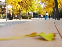 -天正河鲀·河豚亭(大连店)