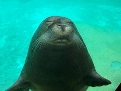 -珠海长隆海洋王国