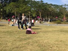 -火炉山森林公园