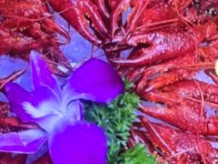 -虾乐园龙虾·夜宵(松江店)