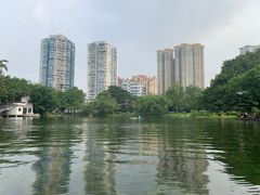 -晓港公园