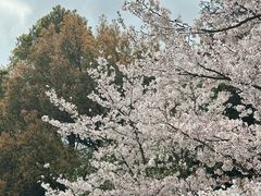 -杭州少年儿童公园