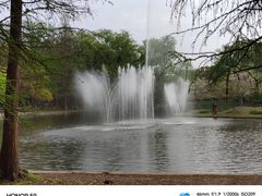 -上海共青森林公园