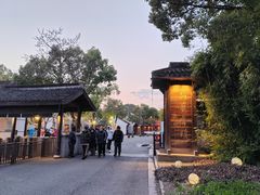 -鲁镇