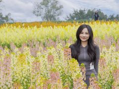 -三圣花乡旅游区