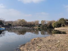 -绍兴镜湖国家城市湿地公园