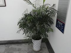 -东南大学(九龙湖校区)