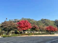 -牛首山文化旅游区