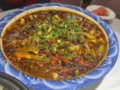 -新概念来凤鱼(璧山店)