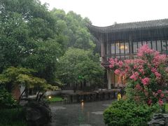 -日出青木·杭帮菜名店